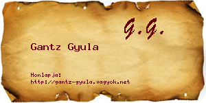 Gantz Gyula névjegykártya